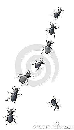 Black Beetles Marching In A Line Stock Photo