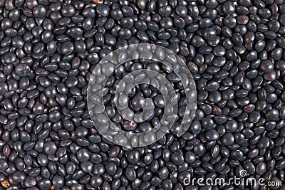 Black Beluga Lentils Stock Photo