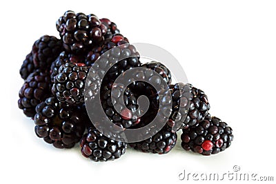 Black Berry Stock Photo