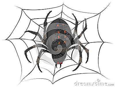 Black big scary spider sitting center of web. Poison spider Vector Illustration