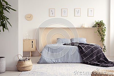 Black blanket on blue bed in natural bedroom interior with posters above bedhead. Real photo Stock Photo