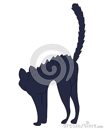 black bristly cat Vector Illustration