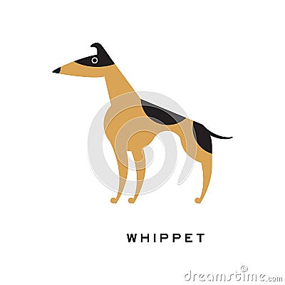 Black and brown whippet character isolated on white Vector Illustration