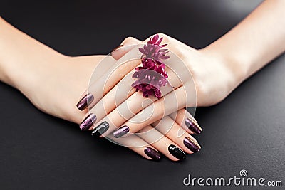 Black and burgundy manicure with flowers on black background. Gel nail polish with mirror powder pigment. Body care Stock Photo