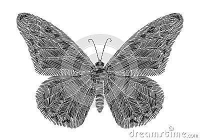 Black butterfly embroidery on black background. ethnic neck line design graphics fashion wearing Stock Photo