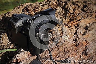 Black camera standing on old textured tree trunk Editorial Stock Photo