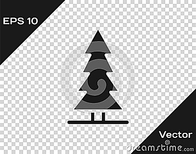 Black Canadian spruce icon isolated on transparent background. Forest spruce. Vector Vector Illustration