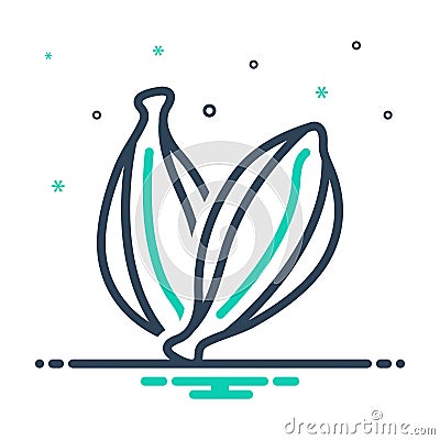 Mix icon for Black Cardamom, aroma and condiment Vector Illustration