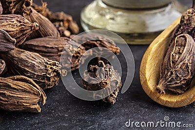 Black cardamom pods Stock Photo