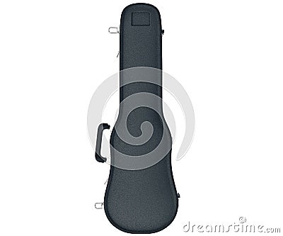 Black case viola, front view Stock Photo