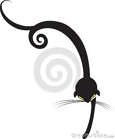 Black Cat Vector Illustration