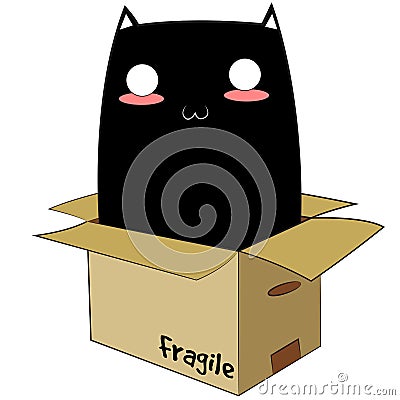 Black Cat in a Box Stock Photo