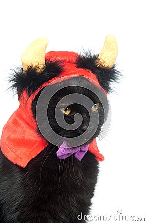 Black cat with devil horns Stock Photo