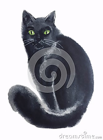 Black cat with a fluffy tail Stock Photo