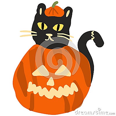 black cat in halloween pumkin Stock Photo