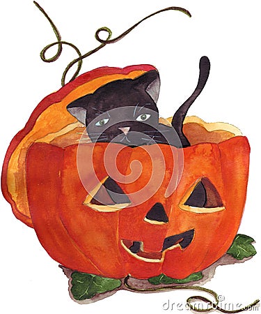 Black cat and orange pumpkin Stock Photo
