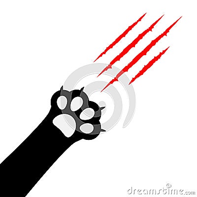 Black cat paw print leg foot. Bloody claws scratching animal red scratch scrape track. Vector Illustration