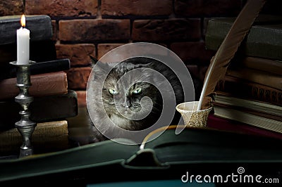 Black cat reading a big book by candlelight Stock Photo