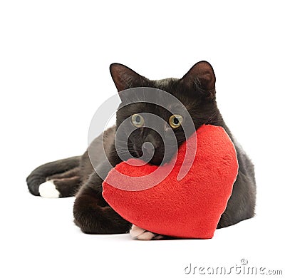 Black cat and red heart Stock Photo