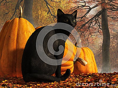 Halloween Cat Stock Photo