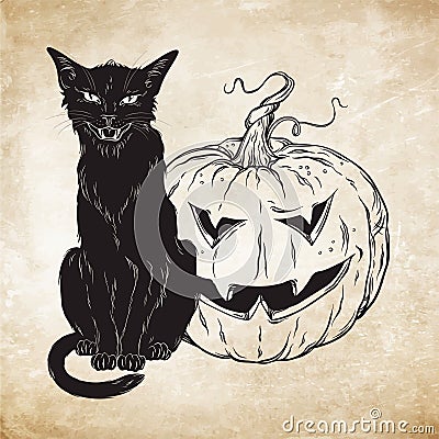 Black cat sitting with halloween pumpkin over old grunge paper background vector illustration. Witches familiar spirit animal. Vector Illustration