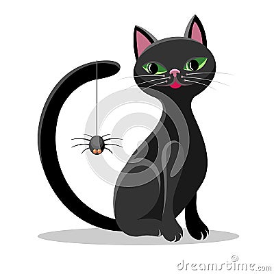 Black cat and spider Vector Illustration