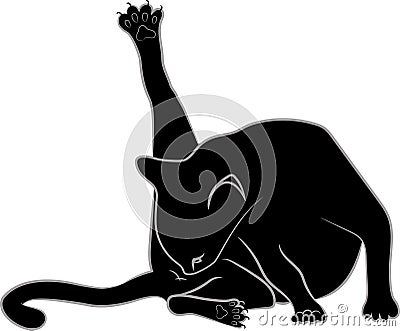 Black Cat washes Cartoon Illustration