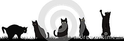 Black cats playing outdoor Vector Illustration