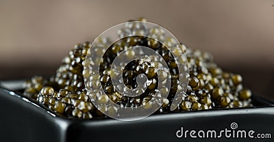 Black Caviar in a bowl. High quality real natural sturgeon black caviar close-up. Delicatessen Stock Photo