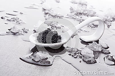 Black caviar on spoon. Stock Photo