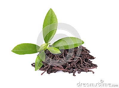 Black Ceylon tea with soursop, isolated on white background. Stock Photo