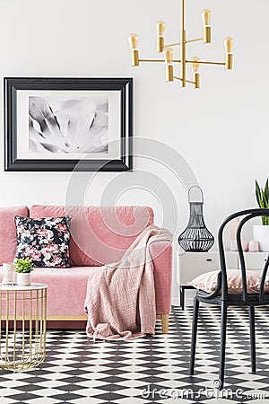 Black chair near pink couch in modern living room interior with poster and gold lamp. Real photo Stock Photo