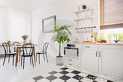 Black chairs at dining table with flowers in white flat interior with plant next to kitchenette. Real photo Stock Photo