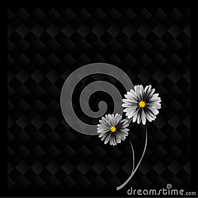 Black Checks Flower Stock Photo