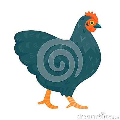 Black chicken funny vector illustration Vector Illustration