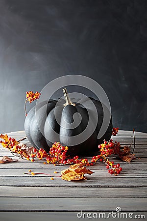 Black colored pumpkin with berries and leaves Stock Photo