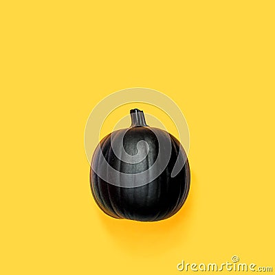 Black colored pumpkin Stock Photo