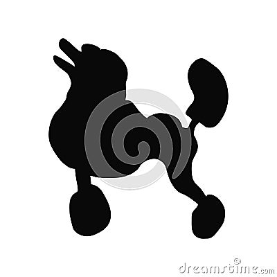 Black contour of a dog breed poodle on white background isolated. Vector Illustration