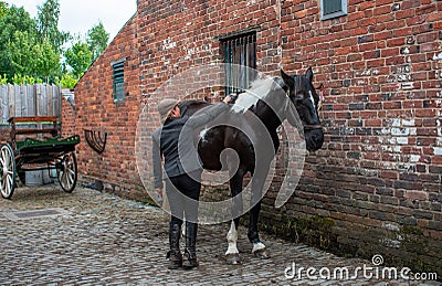 The Black Country Museum, lady in period costume grooming a horse. Editorial Stock Photo