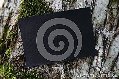 Black craft paper mockup template on the background of forest magic nature Stock Photo