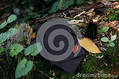 Black craft paper mockup, black candle on background of forest magic nature Stock Photo