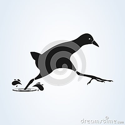 Black Crake, South Africa. flat style. Vector illustration icon isolated on white background Vector Illustration