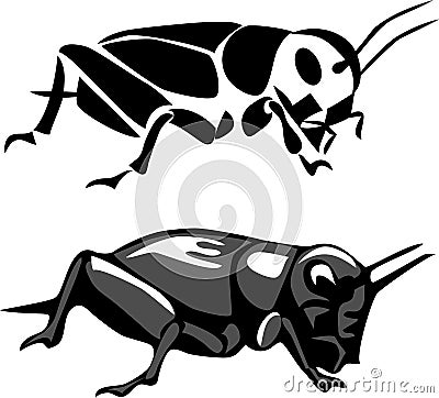 Black cricket Vector Illustration