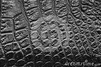 Black Crocodile Leather background texture Stock Photo