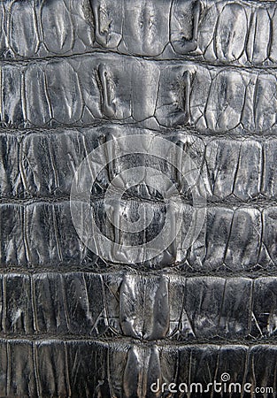 Black crocodile leather texture closeup background Stock Photo