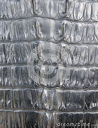 Black crocodile leather texture closeup background Stock Photo