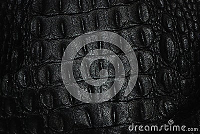 Black crocodile skin with relief. Texture Stock Photo