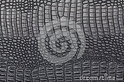 Black crocodile skin texture Stock Photo