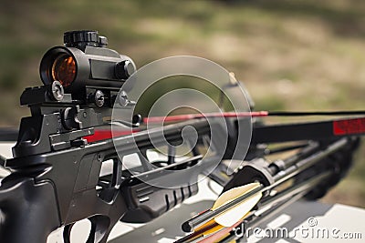 Black crossbow with an optical sight and colored arrows Stock Photo