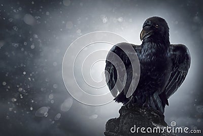 Black crow on a gravestone Stock Photo